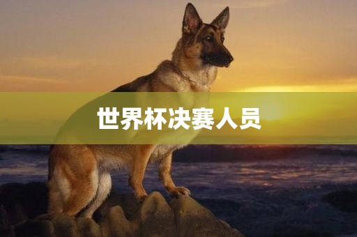 世界杯决赛人员眉山市正发家政服务有限公司