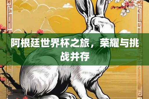 阿根廷世界杯之旅，荣耀与挑战并存