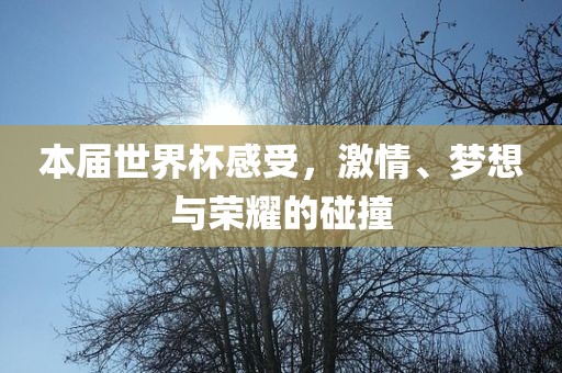 本届世界杯感受，激眉山市正发家政服务有限公司情、梦想与荣耀的碰撞