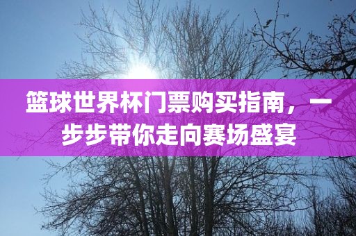 篮球世界杯门票购买指南，一步步带你走向赛场盛宴眉山市正发家政服务有限公司