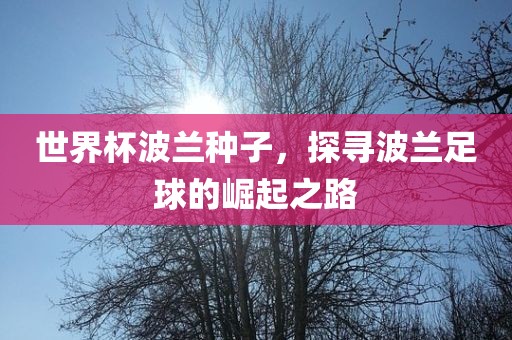 世界杯波兰种子，探寻波兰足球的崛起之路