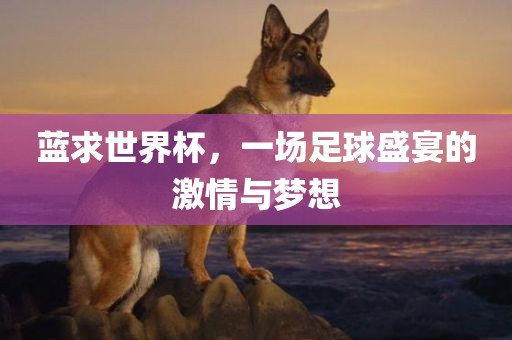 蓝求世界杯，一场足球盛宴的眉山市正发家政服务有限公司激情与梦想