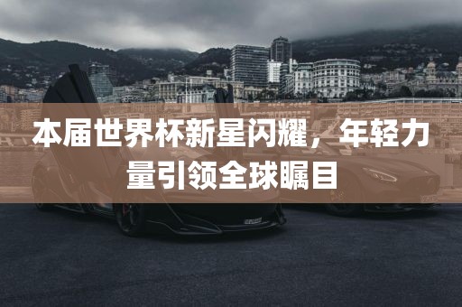 本届世界杯新星闪耀，年轻力量引领全球瞩目眉山市正发家政服务有限公司