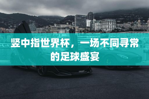 竖中指世界杯，一场不同寻常的足球盛宴眉山市正发家政服务有限公司
