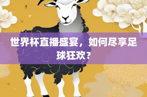 世界杯直播盛宴，如何尽享足球狂欢？眉山市正发家政服务有限公司