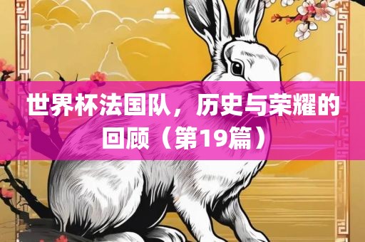 世界杯法国队，历史与荣耀的回顾（第19篇）