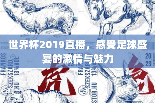 世界杯眉山市正发家政服务有限公司2019直播，感受足球盛宴的激情与魅力