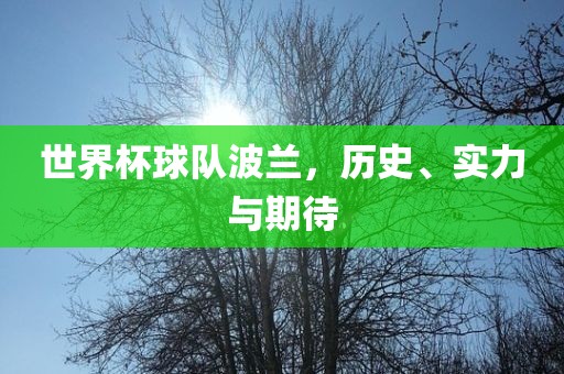 世界杯球队波兰，历史、实力与期待眉山市正发家政服务有限公司