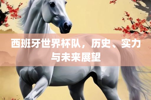 西班牙世界杯队，历史、实力与未来展望眉山市正发家政服务有限公司