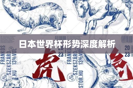 日本世界杯形势深度解析眉山市正发家政服务有限公司