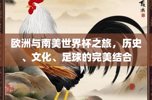 欧洲与南美世界杯之旅，历史、文化、足球的完美结合眉山市正发家政服务有限公司