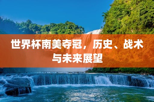 世界杯南美眉山市正发家政服务有限公司夺冠，历史、战术与未来展望