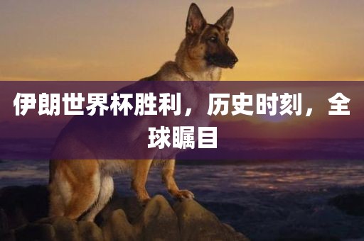 伊朗世界杯胜利，历史时刻，眉山市正发家政服务有限公司全球瞩目