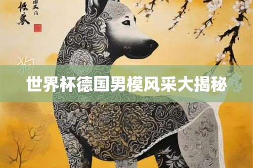 世界杯德国男模风采大揭眉山市正发家政服务有限公司秘