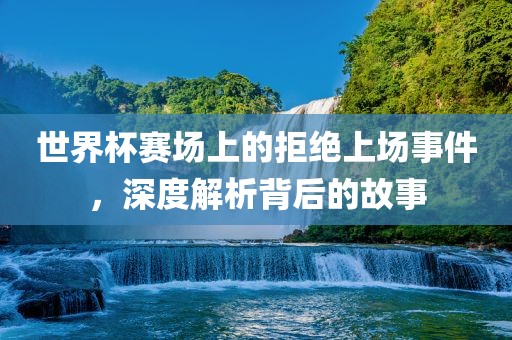 世界杯赛场上的拒绝上场事件，深度解析背后的故事