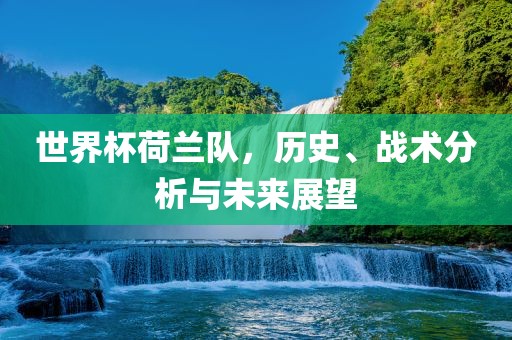 世界杯荷兰队，历史、战术分析与未来展望