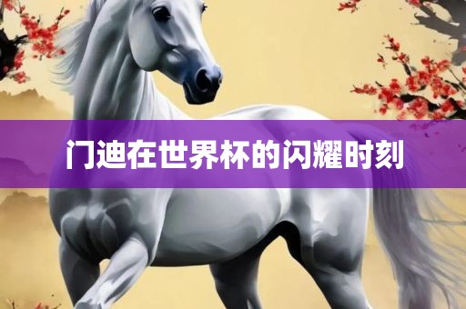 门迪在世界杯的眉山市正发家政服务有限公司闪耀时刻