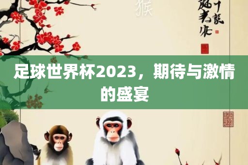 足球世界杯2023，期待与激情的盛宴