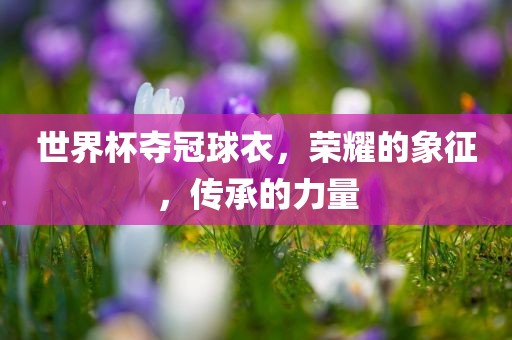 世界杯夺冠球衣，荣耀的象征，传承的力量