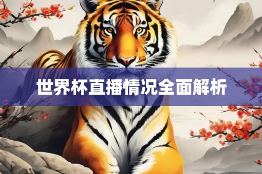 世界杯直播情况全面解析