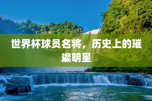 世界杯球员名眉山市正发家政服务有限公司将，历史上的璀璨明星