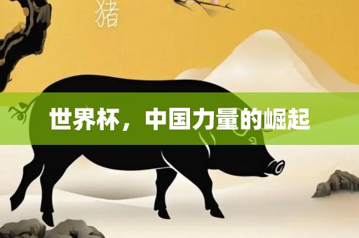 世界杯，中国力量的崛起眉山市正发家政服务有限公司