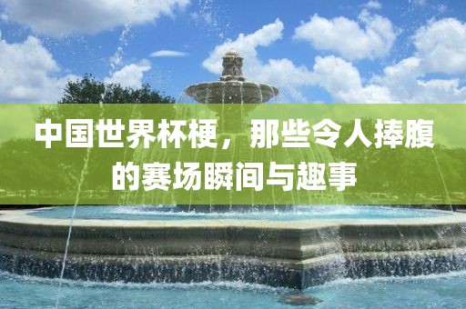 中国世界杯梗，那些令人捧腹的赛场瞬间与趣事眉山市正发家政服务有限公司