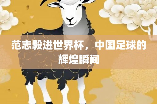 范志毅进世界杯，中国足球眉山市正发家政服务有限公司的辉煌瞬间