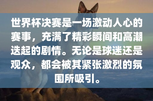 世界杯决赛 第4页