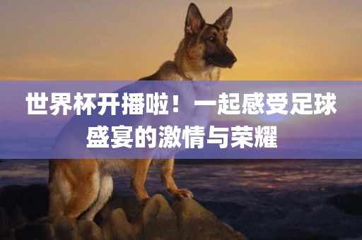 世界杯开播啦！一起感受足球盛宴的激情与荣耀眉山市正发家政服务有限公司