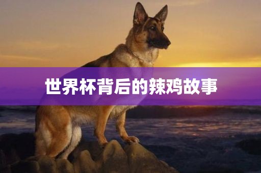 世界杯背后的辣鸡故事眉山市正发家政服务有限公司