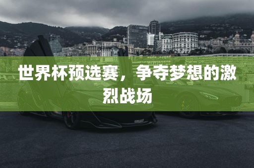 世界杯预选赛，争夺梦想的激烈战场眉山市正发家政服务有限公司