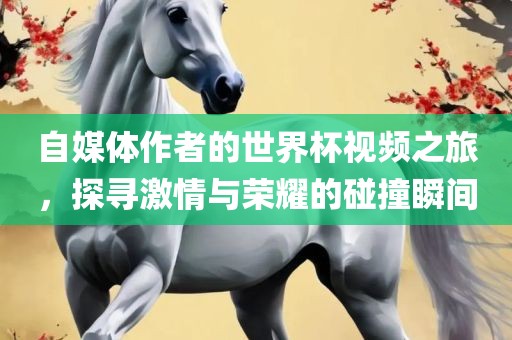 自媒体作者的世界杯视频之旅，探寻激情与荣耀的碰撞瞬间眉山市正发家政服务有限公司