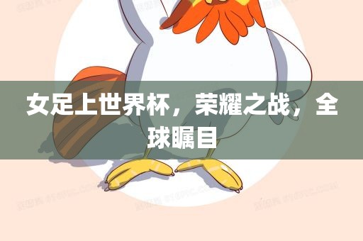 女足上世界杯，荣耀之战，全球瞩目眉山市正发家政服务有限公司