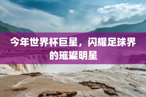 今年世界杯巨星，闪耀足球界的璀璨明星眉山市正发家政服务有限公司