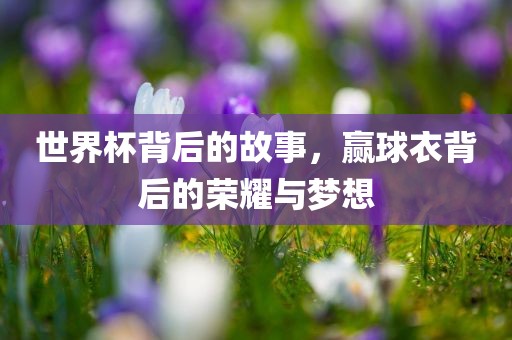 世界杯背后的故事，赢球衣背后的荣耀与梦想