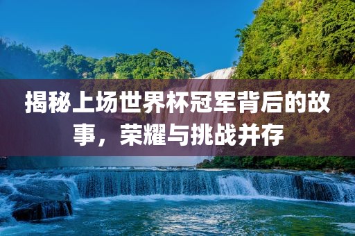 揭秘上场世界杯冠军背后的故事，荣耀与挑战并存