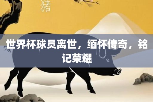 世界杯球员离世，缅怀传奇，铭记荣耀眉山市正发家政服务有限公司