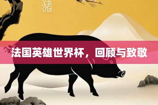 法国英雄世界杯，回顾与致敬