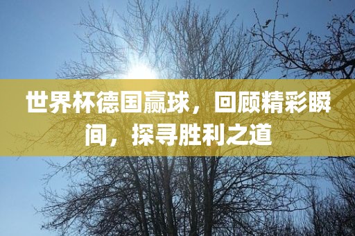 世界杯德国赢球，回顾精彩瞬间，探寻胜利之道眉山市正发家政服务有限公司