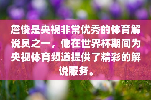 詹俊是央视非常优秀的体育解说员之一，他在世界杯期间为央视体育频道提供了精彩的解说服务。眉山市正发家政服务有限公司